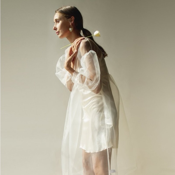 et tigre organza dress - Picture 9 of 13